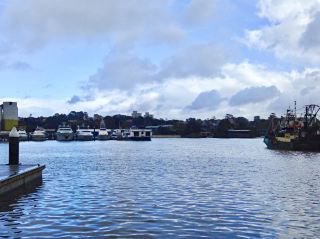 Chill Morning At Sydney