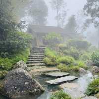 Where Stone Bridges Meet Storybook Gardens