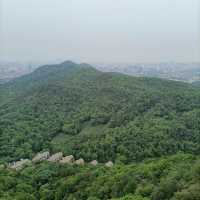 ～永春崗公園～綠意如織～