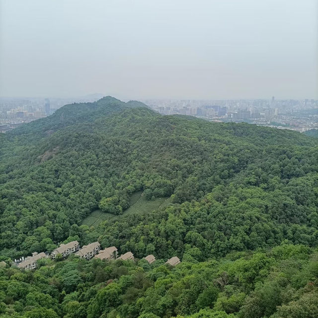 ～永春崗公園～綠意如織～