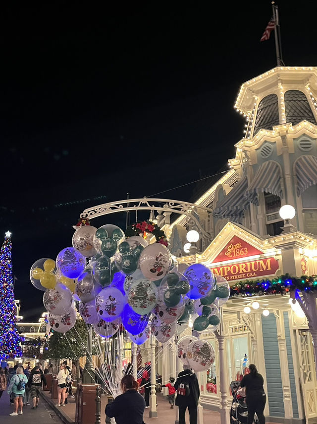 【アメリカ】フロリダディズニーの見どころ🐭🇺🇸