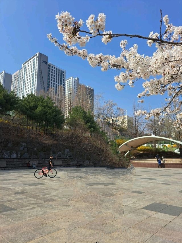 도심 속 여유, 성남 희망대공원에서