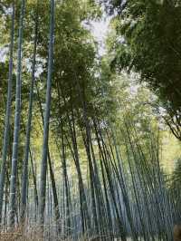 Kyoto 3 Days Itinerary