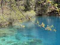 Jiuzhaigou # Part2 สวยเกินบรรยาย 