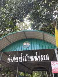 ป่าต้นน้ำบ้านน้ำราด
