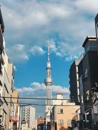 Sumida Park Riverside