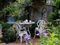 คาเฟ่ลับ Lecino Backyard Cafe 