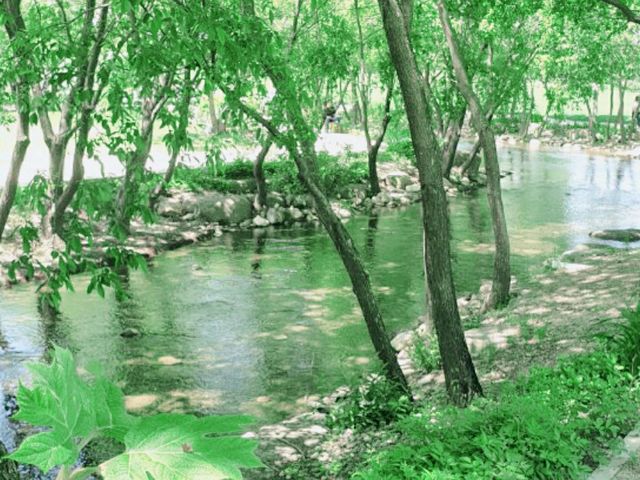 모든 순간이 초록 🌱순천만국가정원