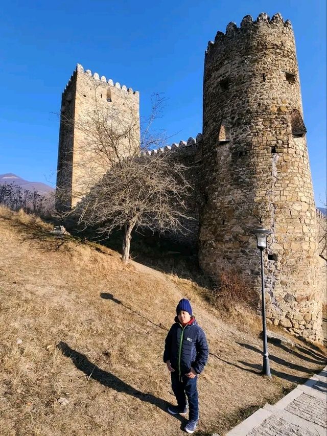 Ananuri Fortress Complex: A Medieval Marvel by the Zhinvali Reservoir