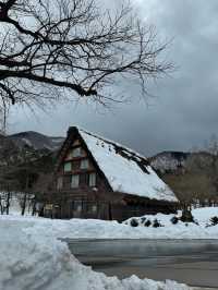 snow in japan