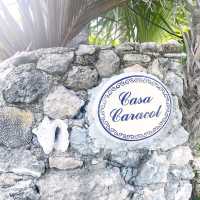 The Seashell House