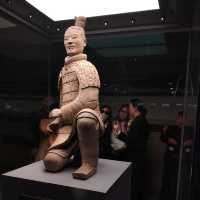 Where Terracotta Warriors Dance With Blossoms