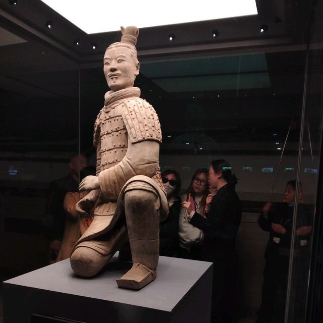 Where Terracotta Warriors Dance With Blossoms