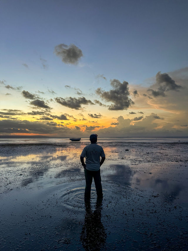 Dancing Trees and Golden Seas: Walakiri’s Hidden Magic