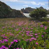 Pfeiffer Beach – Big Sur, CA