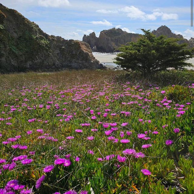Pfeiffer Beach – Big Sur, CA