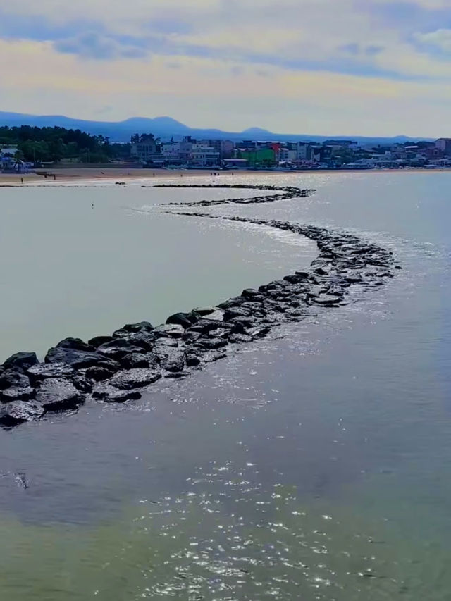 🏖️ 이호테우 해수욕장, 제주의 청량한 바다!