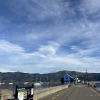 【紐西蘭旅記】阿卡羅阿生死山路初體驗！法式港灣小鎮的浪漫與驚險
