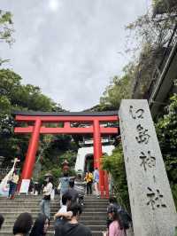 江島神社的洗錢大法⛩️