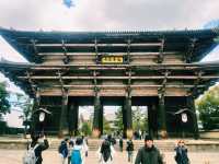 [東大寺] 1300年の祈りが息づく、大仏のふるさと