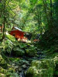 Hidden Hiking Gem Near Osaka – Inunaki-yama Day Trip Before Your Flight!