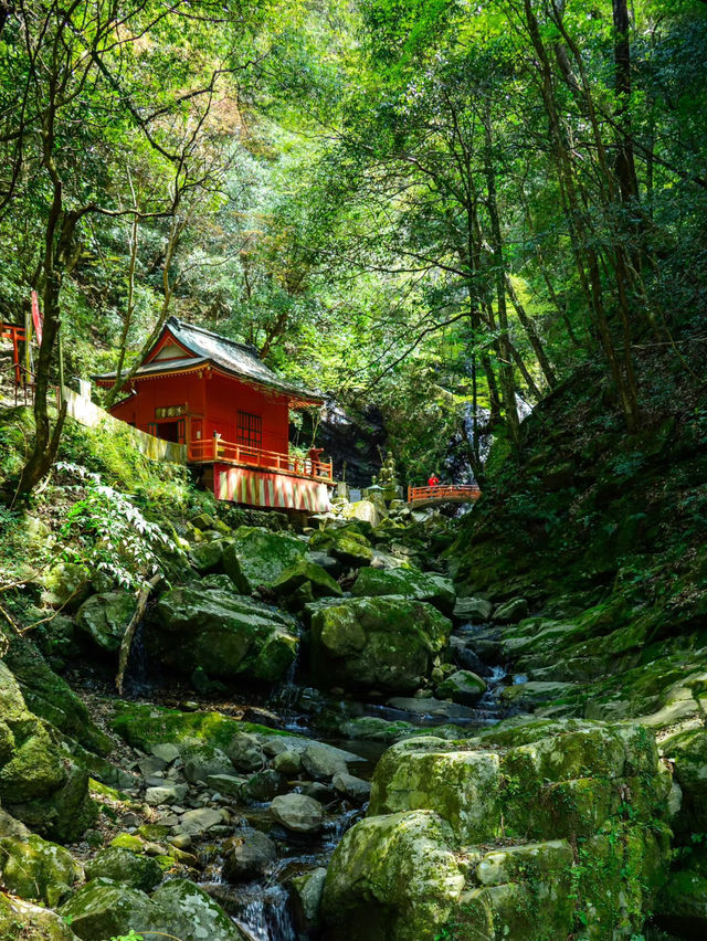 Hidden Hiking Gem Near Osaka – Inunaki-yama Day Trip Before Your Flight!