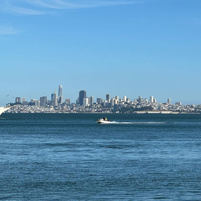 “Sausalito: Where the bay sparkles, the art flows, and life feels like a postcard.” ✨🌊⛵🎨🍷