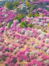 Wuhan – Where Yangtze Waters Meet Ancient Soul
