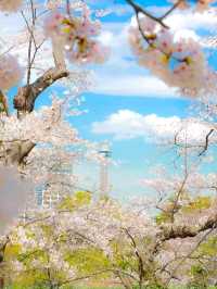 Yokohama – Japan’s Vibrant Port City with a Global Heart