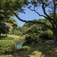 新宿御苑 (Shinjuku Gyoen National Garden)