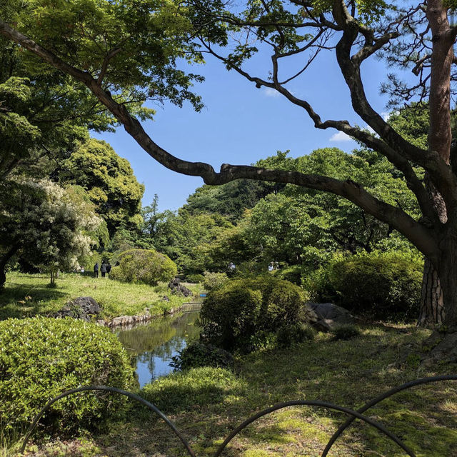 新宿御苑 (Shinjuku Gyoen National Garden)