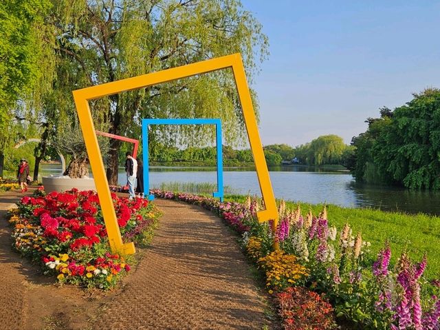 What a nice place to hang out during spring