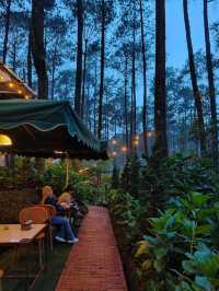 Lapinea Cafe & Resto