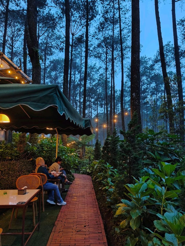 Lapinea Cafe & Resto