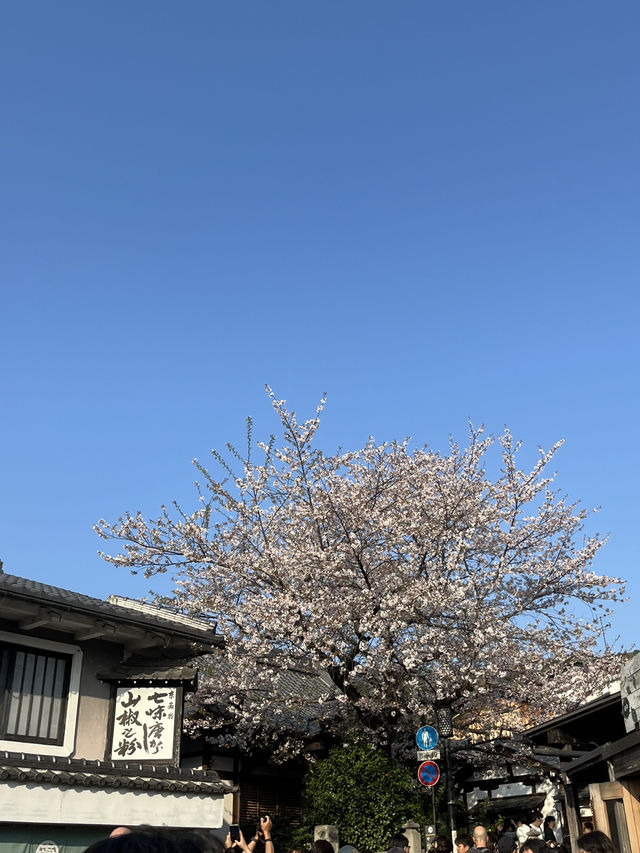 청수사 올라가는 길 2년의언덕, 3년의언덕🌸