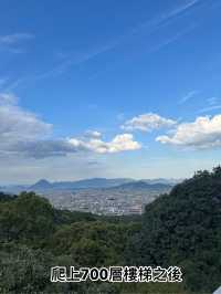港女五日四夜暴走高松，一日玩三個景點 小丸子都去金多比羅神社，草間彌生南瓜，四國水族館