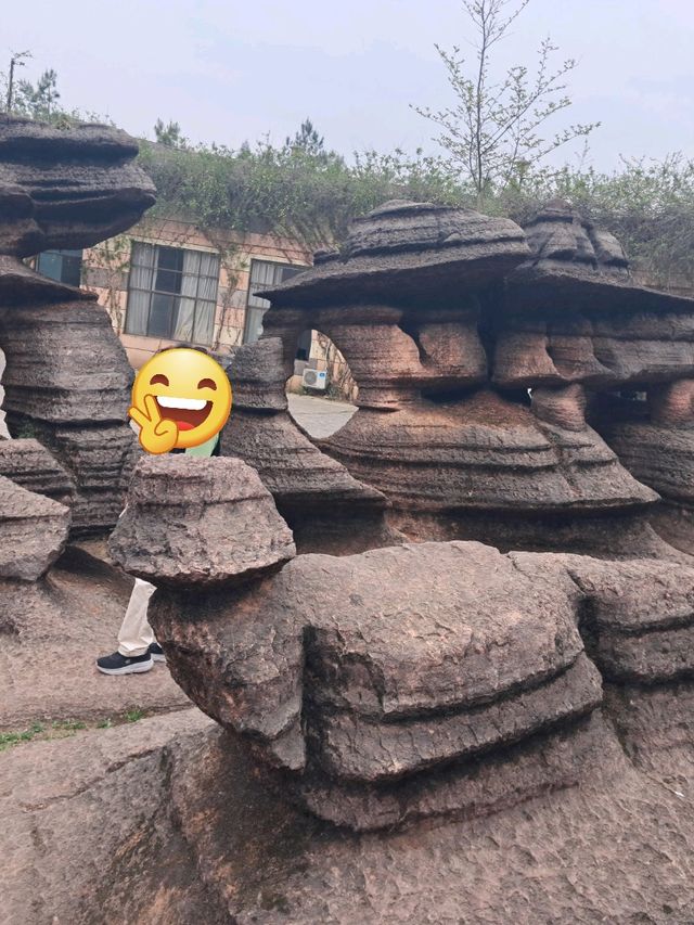 중국  호남성  홍석림