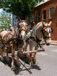 America’s First Highway: Journey the National Road