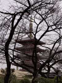 Tokyo & Kamakura Getaway