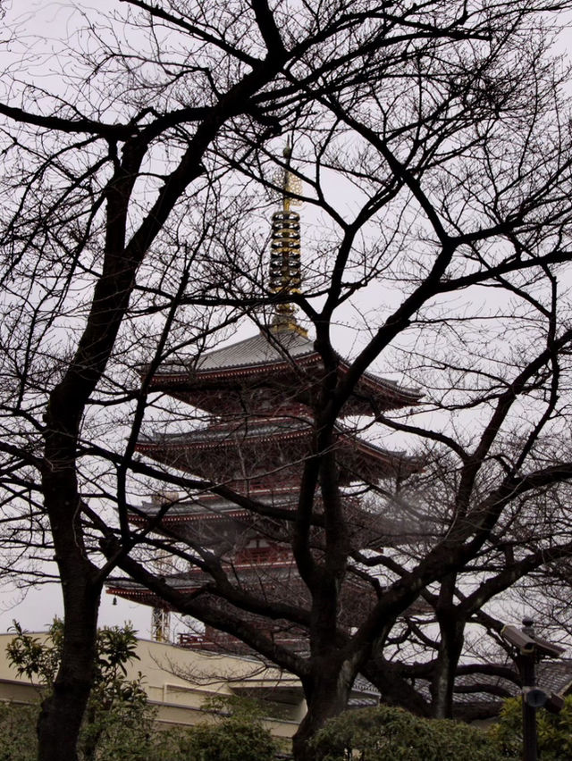 Tokyo & Kamakura Getaway