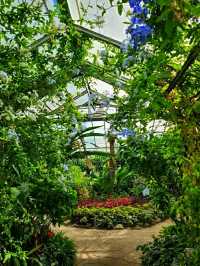Allan Gardens Conservatory – Toronto’s Historic Green Oasis