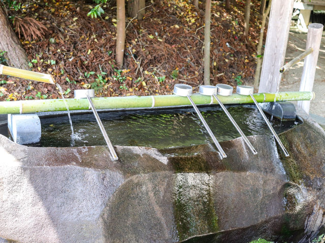 【島根県】 鏡の池で縁占い  縁結びの大親神『八重垣神社』⛩️