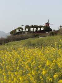 Do you know canola oil is of such pretty plants?