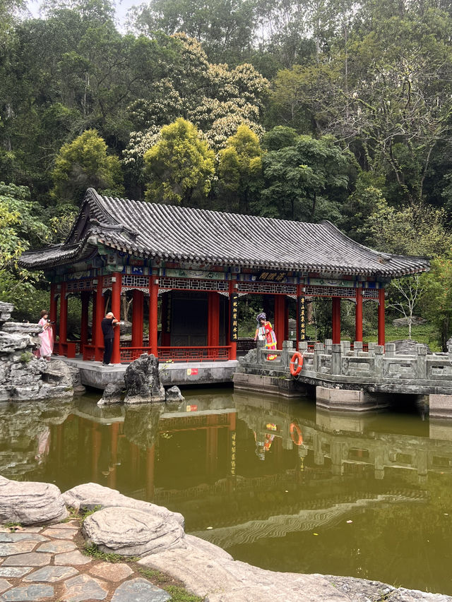 深圳國際園林花卉博覽園——不用花錢的好去處