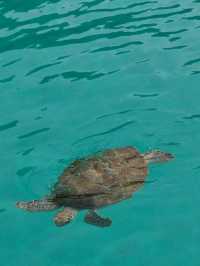 Redang Island – Turquoise Dreams & Powdered Sugar Sands