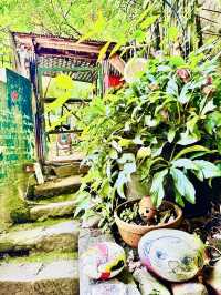 貓之細道