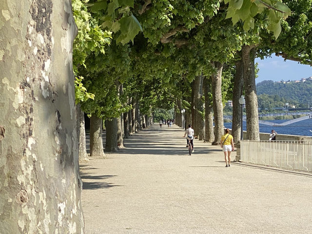 Sightseeing in Coimbra – A Journey Through Time