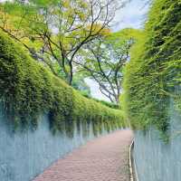 探秘新加坡福康寧公園，邂逅別樣風情🌳