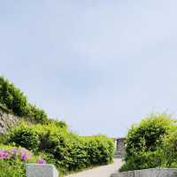 A Charming Stroll Along Naksan Fortress Wall Trail near Heunginjimun Park