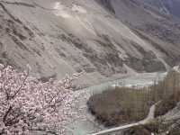 🌸Spring in Pakistan – A Season Like No Other
